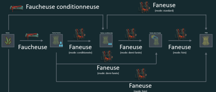 4StepsHerbe Diagram