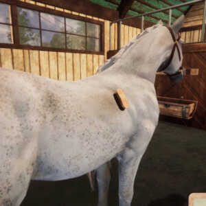 animal shelters horse dlc