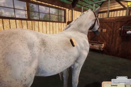 animal shelters horse dlc