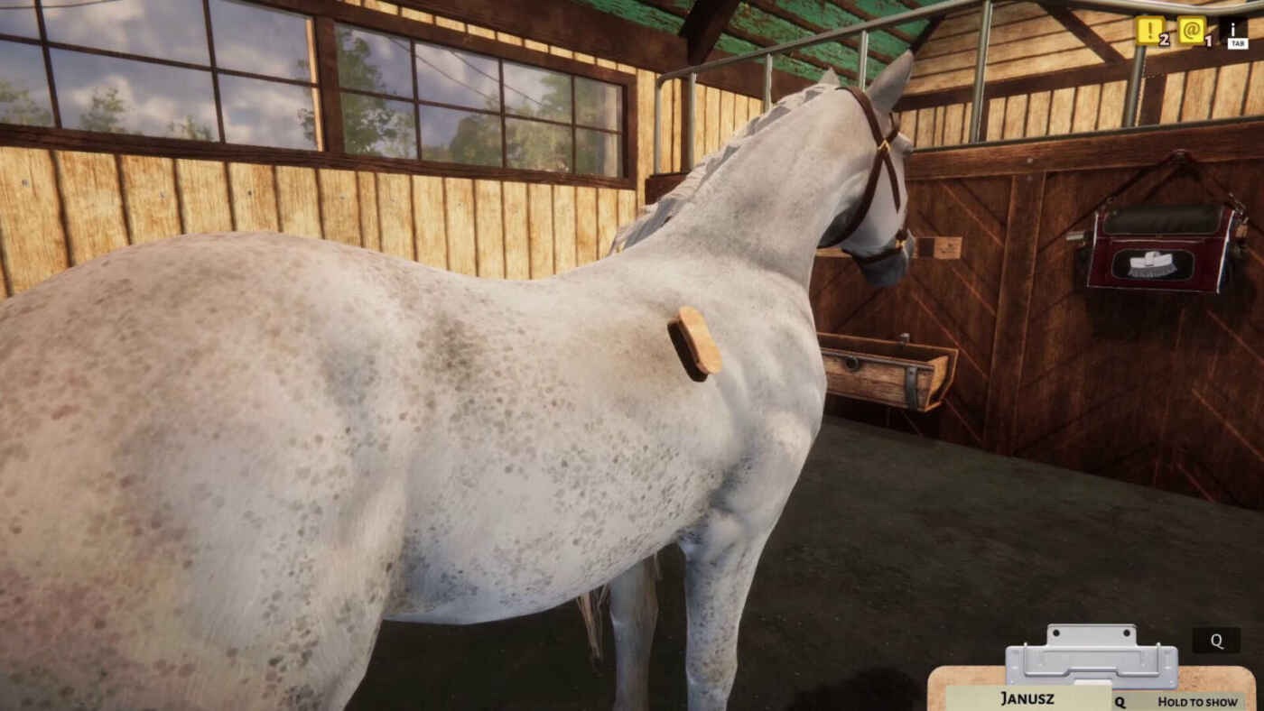 animal shelters horse dlc