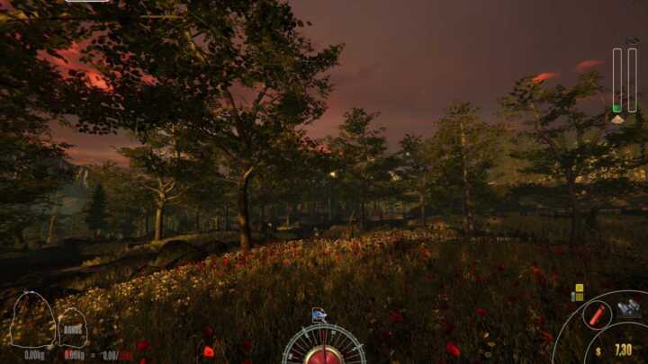 forest ranger simulator 1