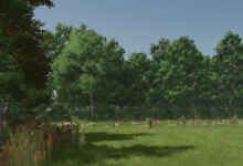 1747148317 1747148310 536 screenshot0