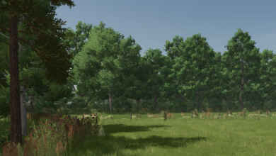 1747148317 1747148310 536 screenshot0
