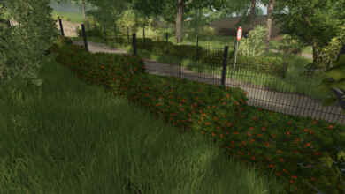 1748616574 1748616567 658 screenshot0
