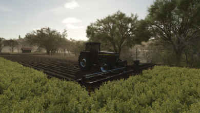 1749051310 1749051303 596 screenshot0