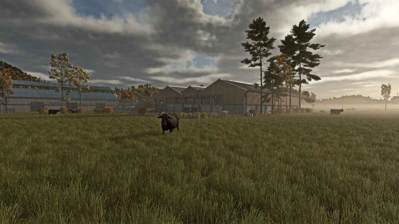 1749060569 1749060563 215 screenshot0