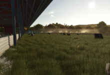1749722951 1749722941 71 screenshot0
