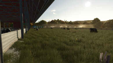 1749722951 1749722941 71 screenshot0