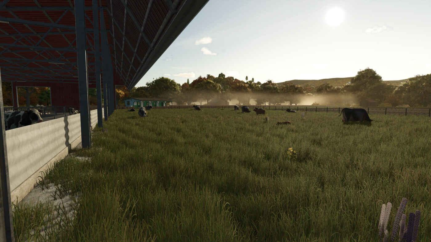 1749722951 1749722941 71 screenshot0