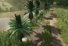 1750091135 1750091130 755 screenshot0