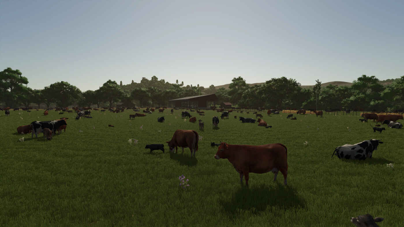 1750096646 1750096640 690 screenshot0