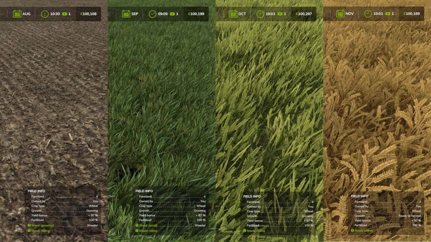 1750430843 1750430837 188 screenshot0