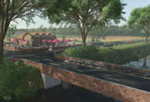 1752167148 1752167137 410 screenshot0