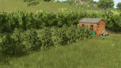 1753120097 1753120091 486 screenshot0