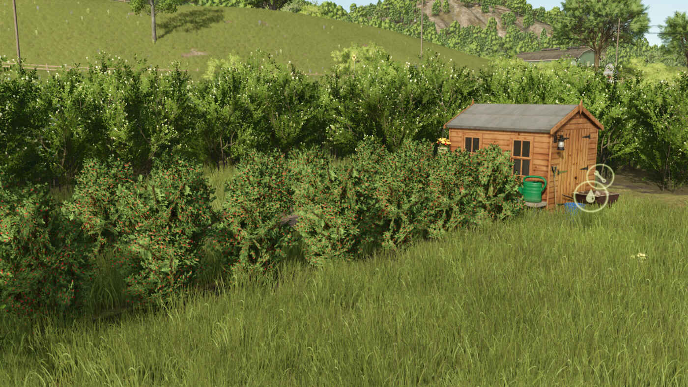 1753120097 1753120091 486 screenshot0