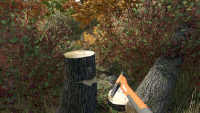 1754407659 1754407653 373 screenshot0
