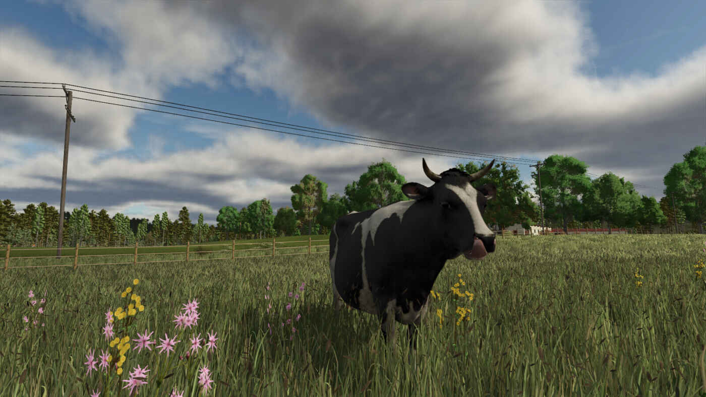 1754930687 1754930677 846 screenshot0