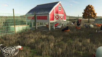1755103317 1755103307 313 screenshot0