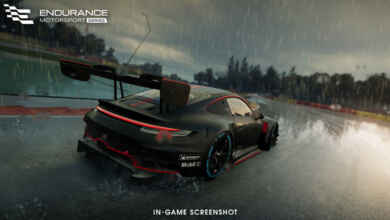 endurance003