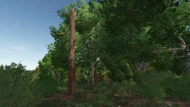 1757680957 1757680946 952 screenshot0