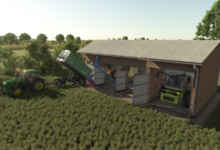 1760444267 1760444256 498 screenshot0