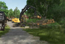 1760447582 1760447576 463 screenshot0