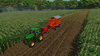 1761057698 1761057687 282 screenshot0