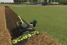 1761934116 1761934111 459 screenshot0