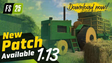 FHD FS25 Patch1 13