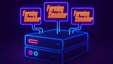 farming sim serveur dedibox