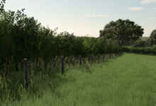 1763035630 1763035624 469 screenshot0