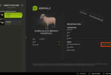 1763045495 1763045484 916 screenshot0