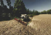 1763394388 1763394376 428 screenshot0