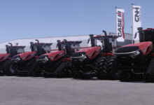 1763485305 1763485290 279 screenshot0