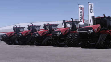 1763485305 1763485290 279 screenshot0