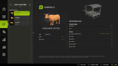 1764166347 1764166339 840 screenshot0