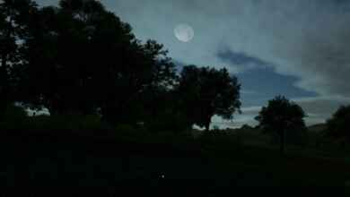 1764171264 1764171259 930 screenshot0