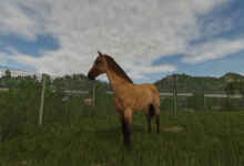 1764261515 1764261509 184 screenshot0