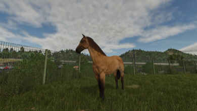 1764261515 1764261509 184 screenshot0