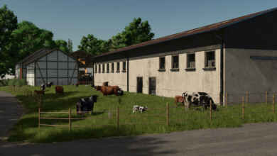 1764604366 1764604357 682 screenshot0