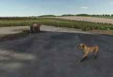 1764776005 1764775996 158 screenshot0