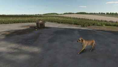 1764776005 1764775996 158 screenshot0