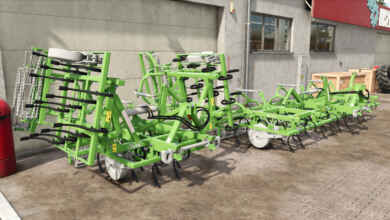 1764779589 1764779576 542 screenshot0