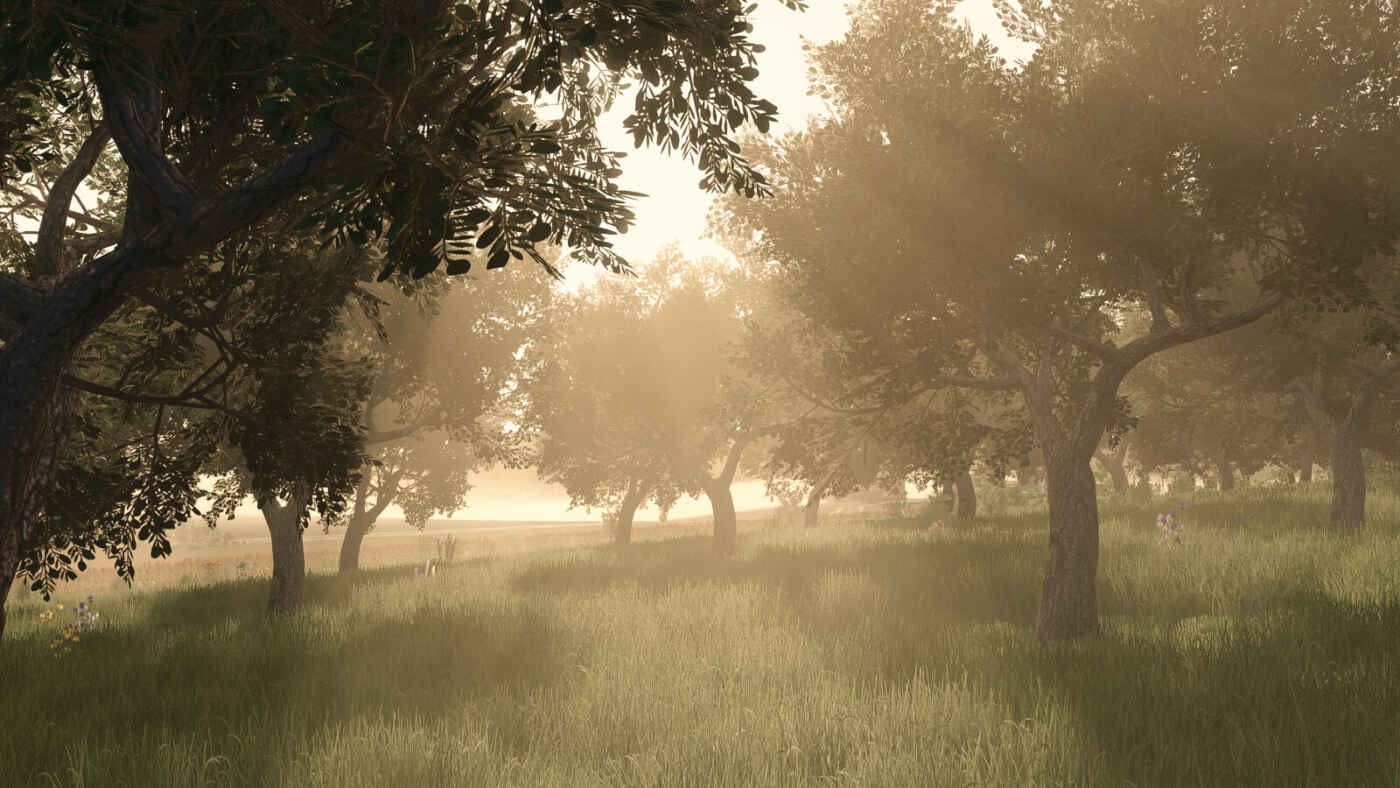 1764867340 723 screenshot5