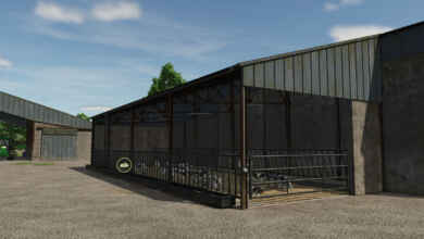 1764954979 1764954967 293 screenshot0