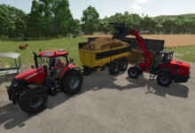 1765203496 1765203484 846 screenshot0