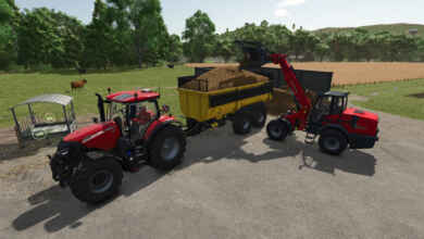 1765203496 1765203484 846 screenshot0