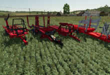 1765206774 1765206764 286 screenshot0