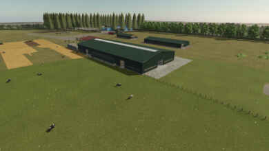 1765371353 1765371345 339 screenshot0