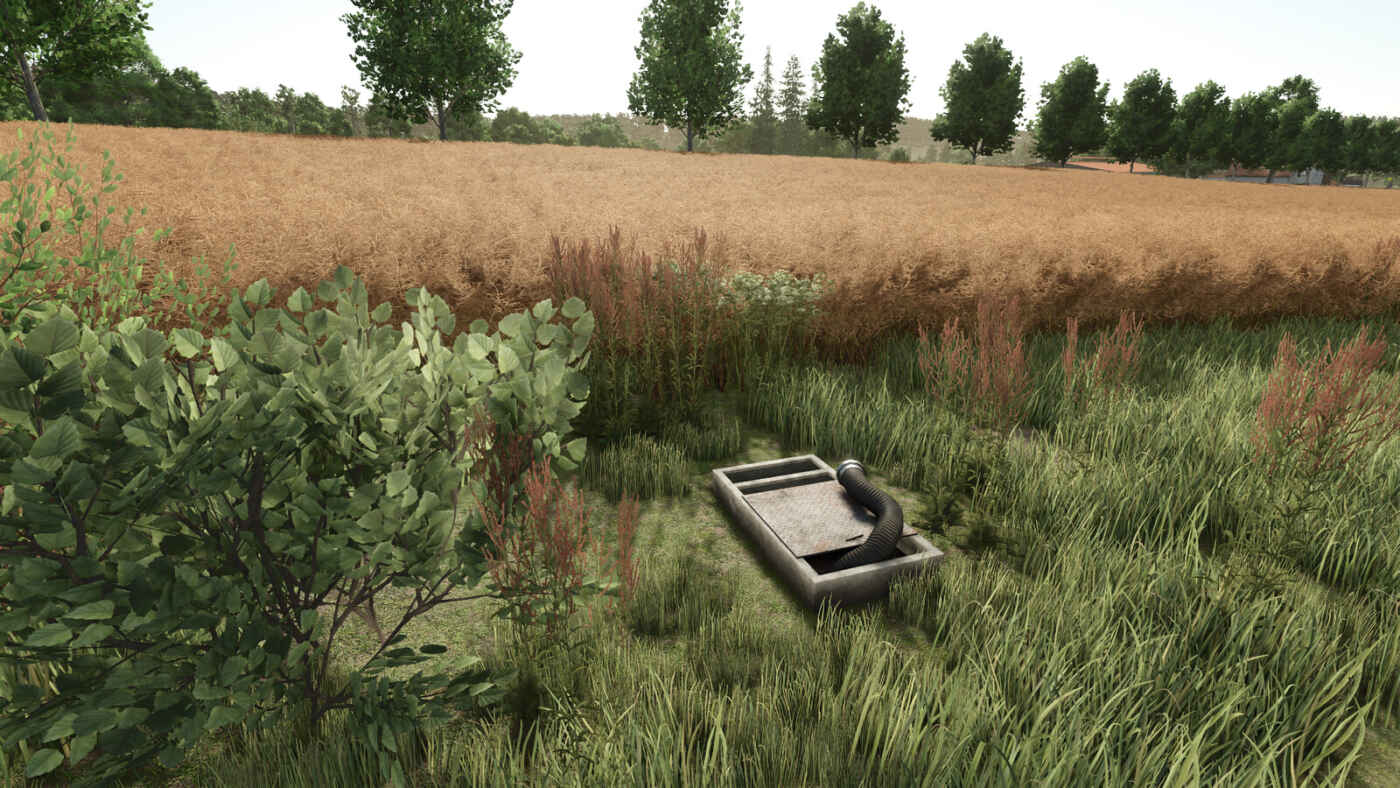 1765552946 986 screenshot1